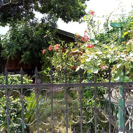 Atmaca Hause Case de vacanță